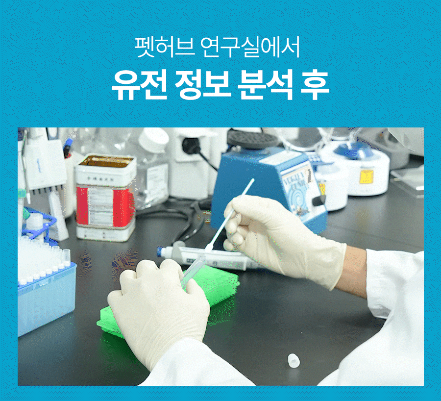 기존 키트 구매페이지 구성 및 검사 과정 10