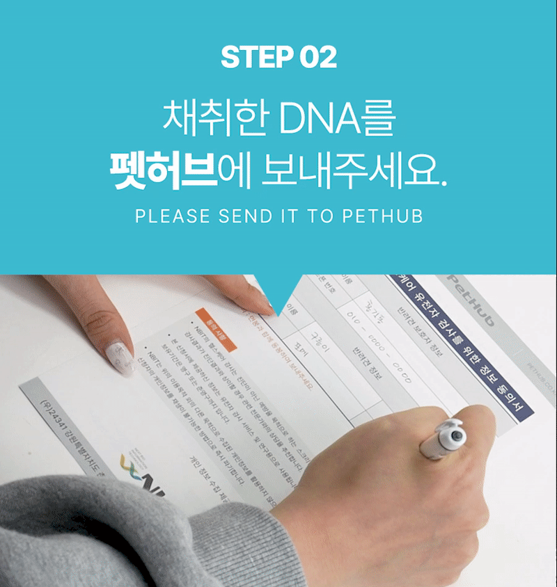 STEP 02 채취한 DNA를 펫허브에 보내주세요